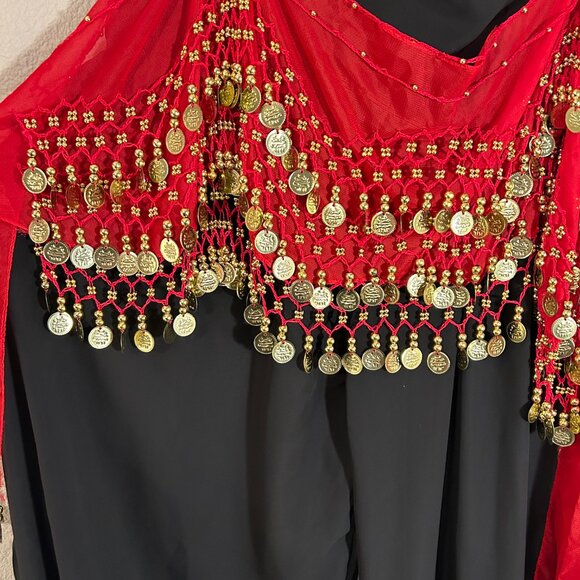 Women's Belly Dancer, Genie in a Bottle Halloween Costume - Picture 5 of 10